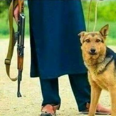 Sharabi_Ghazal.mp3