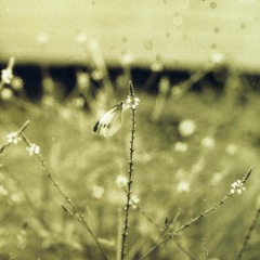ethereal ambience
