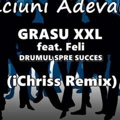 Grasu XXL - Minciuni Adevarate (iChriss Remix)