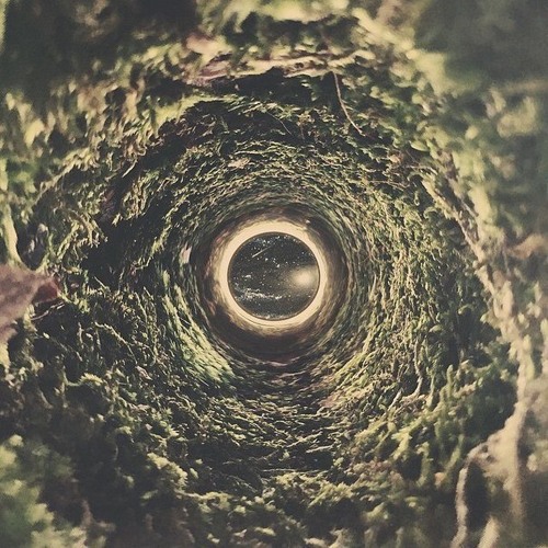 nice shot meaning in photography nice shot meaning in photography