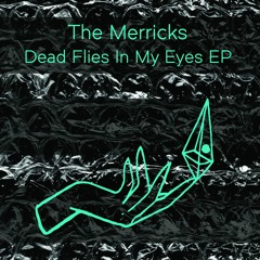 The Merricks - Dead Flies In My Eyes EP - 01 - You make me sick 3