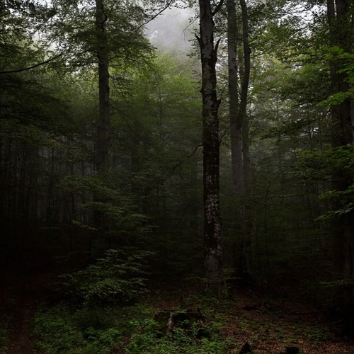 URPHA/// planetarian ambient mini-cassette