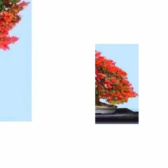 dlabaja martin - 74 monks [odd time signature]