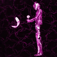 Danganronpa 3 SIDE: FUTURE ED - Recall THE END TV Size 歌ってみた 【❉カナ】