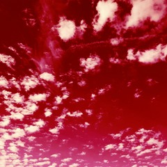 Culled Soop & Fungi ~ The Fall