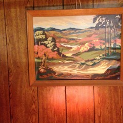 It's a Shame About Ray (acoustic)