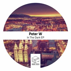 Peter W - Walking In The Night (Original Mix)