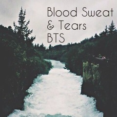Blood Sweat and Tears - BTS (Piano Cover)