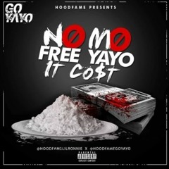 Go YayoDamn It Man