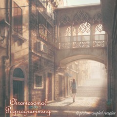 Chromosomal Reprogramming crossfade