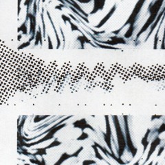 Swarm Intelligence - Klang