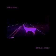 Nostromo Karaoke - Roadkill Dazzle (DEMO)