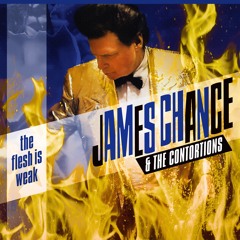 Melt Yourself Down by James Chance & The Contortions