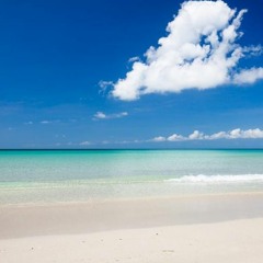 Mars Attak Pleasures Beach