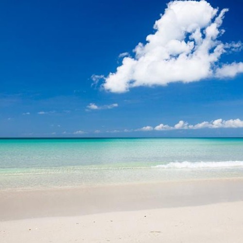 Mars Attak Pleasures Beach