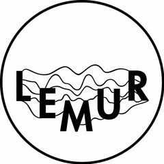 Lemur+Stian Westerhus 3