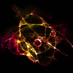 Neuronal Experience