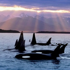 Human Nature x Right Here 64 (Instrumental)