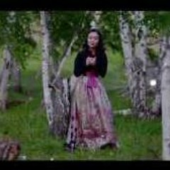 Gansuvd - Minii eej huurhun