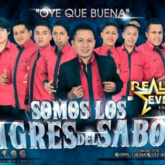 <<EXÍTO>> _QUIERO AMARTE_SOMOS LOS TIGRES DEL SABOR "OYE QUE BUENA" D.R.A