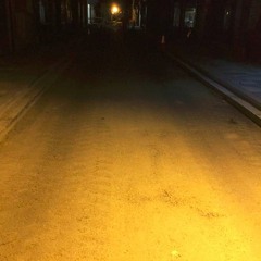 Petals, A Fleeting Memory