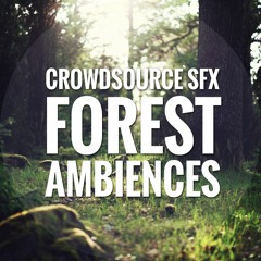 CrowdsourceSFX Forest Ambiences demo