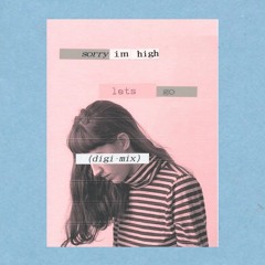 im sorry im hi lets go (digi-mix)
