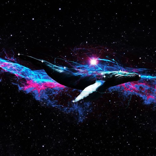 Asmik - Fractal Lifter [unreleased]