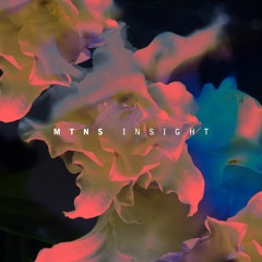 MTNS - Insight