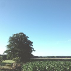 Bandwagon.asia Ambient Mix