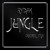 Artwork for Jungle (Original Mix)