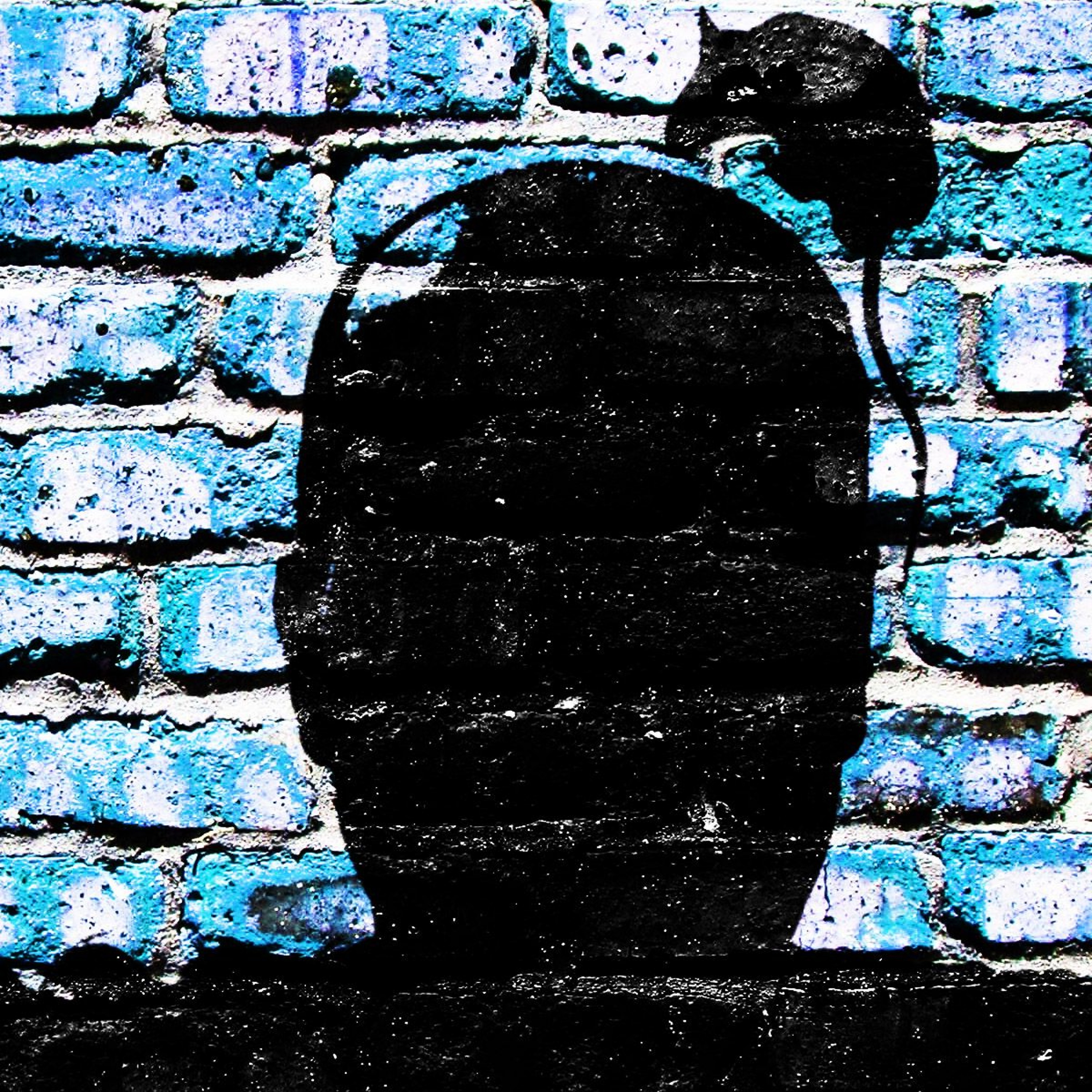 PLOOS episode artwork