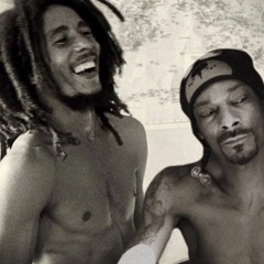 Could You Be Snoop - Bob Marley Vs Snoop Dogg Remix