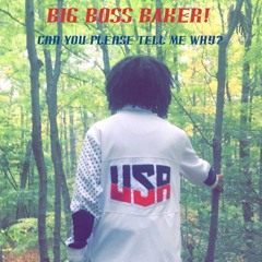 Can You Please Just Tell Me Why? (Prod. BIG BOSS BAKER)