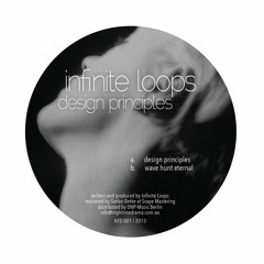 NTD001 - Infinite Loops - Design Principles