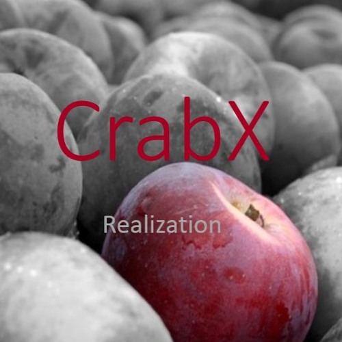 CrabX - Realization
