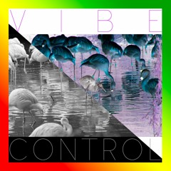 Flamingo Shadow - Vibe Control (Night Heron Mix)
