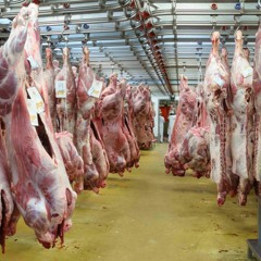 Lyrical Slaughter 3 - Kash.MP3