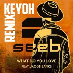 What Do You Love - Seeb ft. Jacob Banks (KeYoH Remix)
