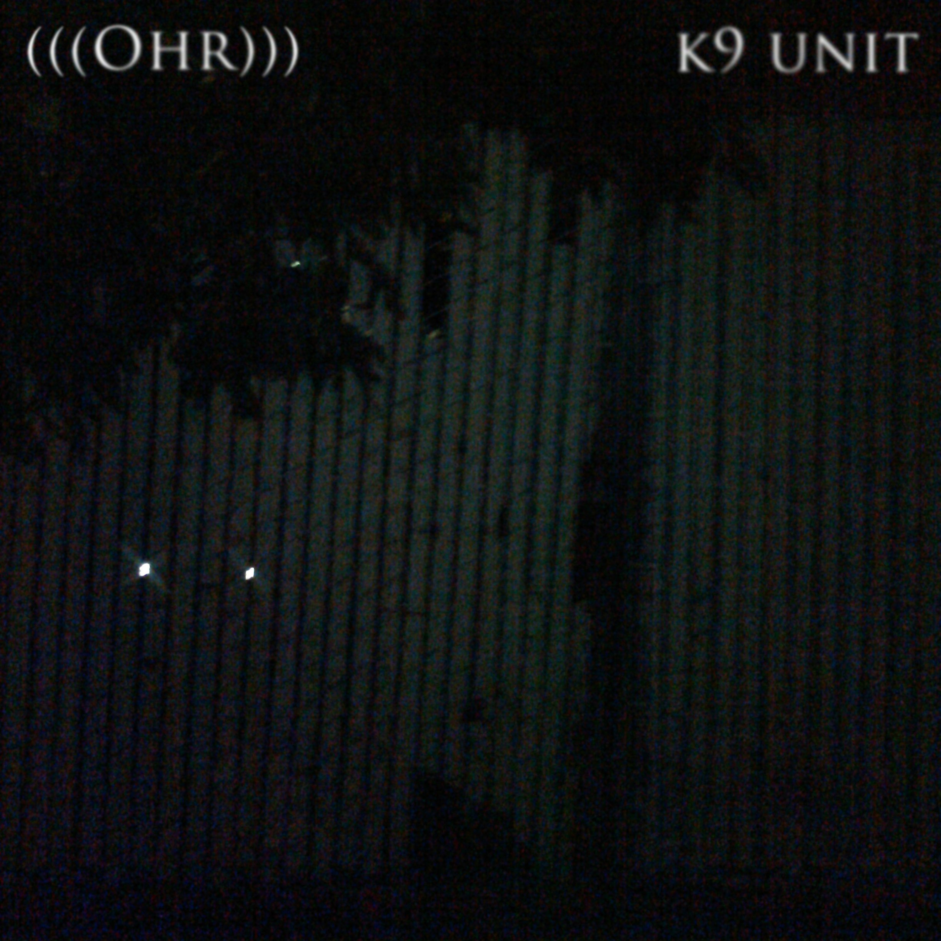 K9 Unit episode artwork