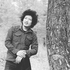 Tshen Dhen Shing - Misty Terrace