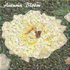 Autumn Bloom