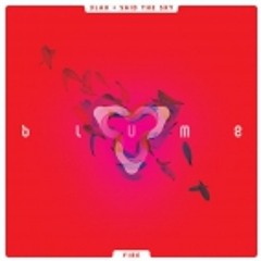 3LAU x Said The Sky - Fire (Original mix)