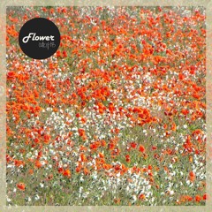 HB x didi - 꽃 flower