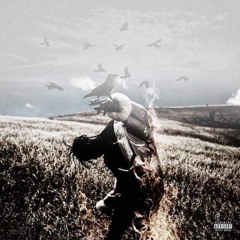 Travi$ Scott - Fish N Grits (Ft. Wale) (SLOWED)