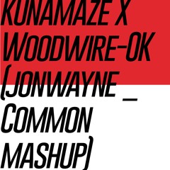 KunaMaze X Woodwire - OK (Jonwayne Common Mashup)