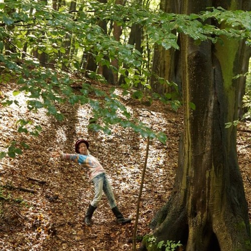 Shamazen Ayahuasca Ceremony 3 hours