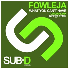 Sampler: Fowleja- What You Can't Have (Original Mix)