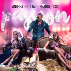 Andreea Otilia Costi Shaggy - passion  (  DJ Scanteie EDIT )