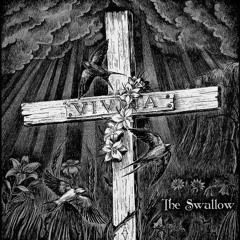 VIVITA - THE SWALLOW